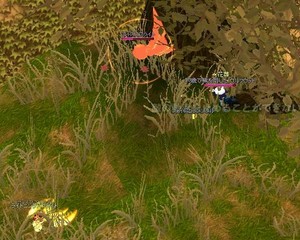 051020-11.jpg
