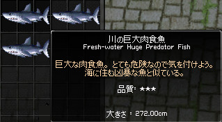 080919-03s.jpg